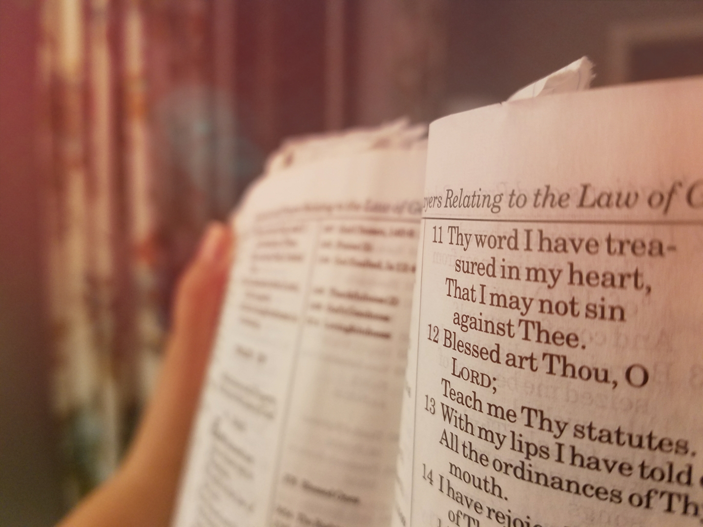 Today’s Guide — 09.11.17 — God’s Word