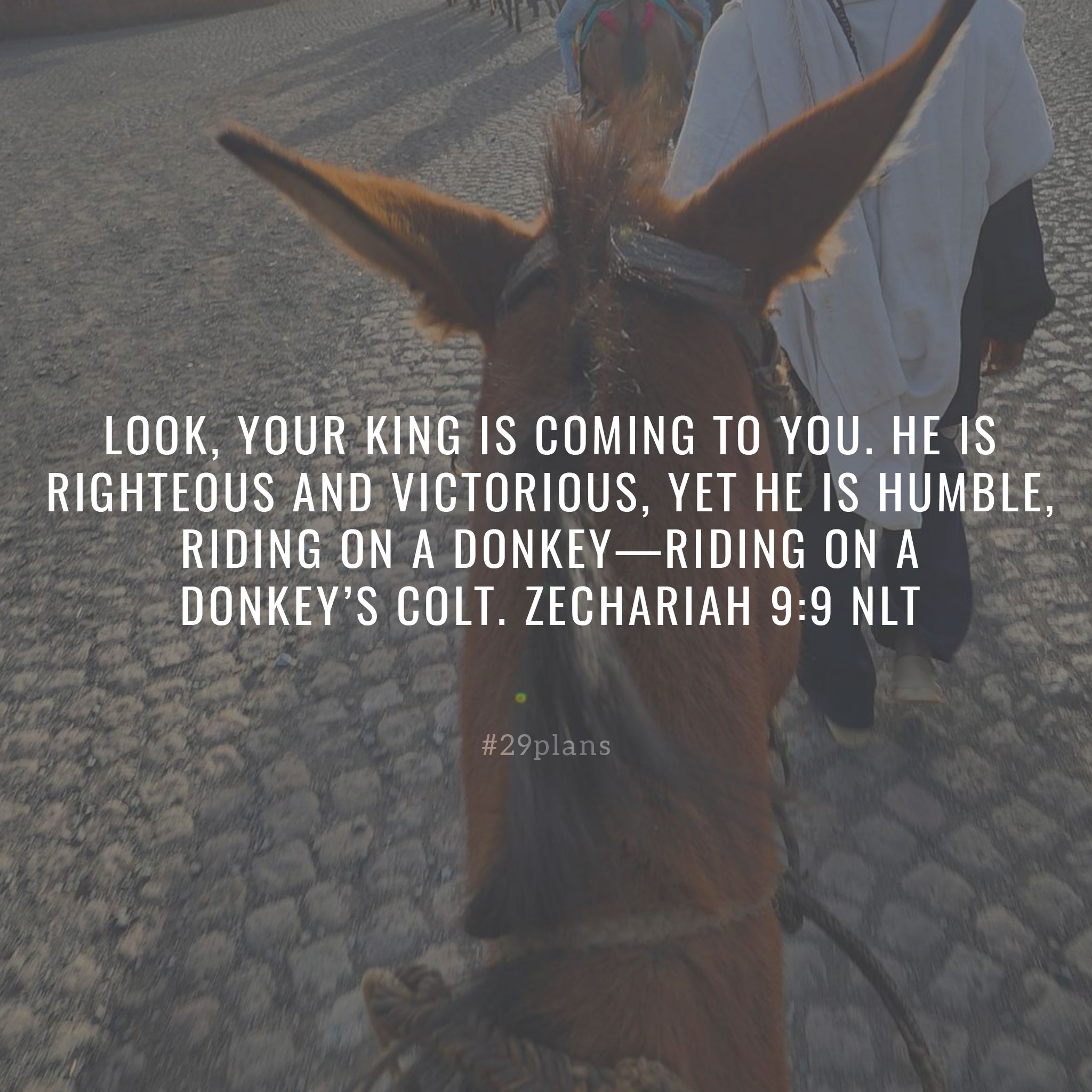 Today’s Guide — 12.07.18 — Your King is Coming